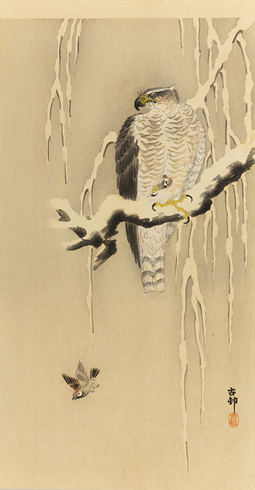 没後80年 小原古邨 ―鳥たちの楽園 太田記念美術館-7