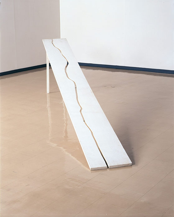 アンチ・アクション　彼女たち、それぞれの応答と挑戦 豊田市美術館-10