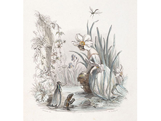 Dear Animals and Plants　－親愛なる仲間たち－