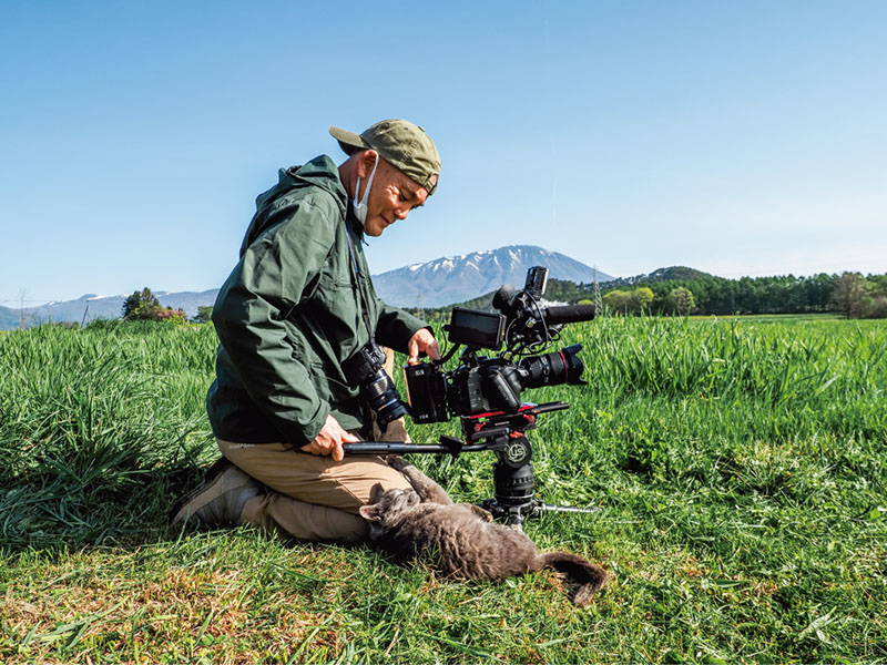 岩合光昭写真展「ご当地ねこ」 大垣市スイトピアセンター アートギャラリー-4