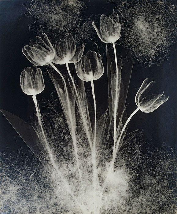 野島康三と斎藤与里 ―美を掴む手、美を興す眼 埼玉県立近代美術館-4