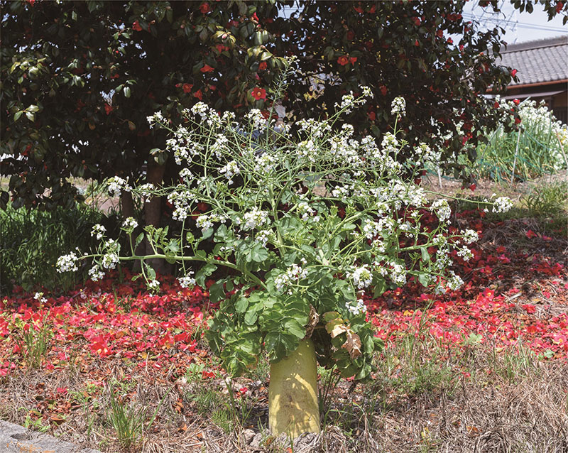 城戸保　駐車空間、富士景、光画 清須市はるひ美術館-3