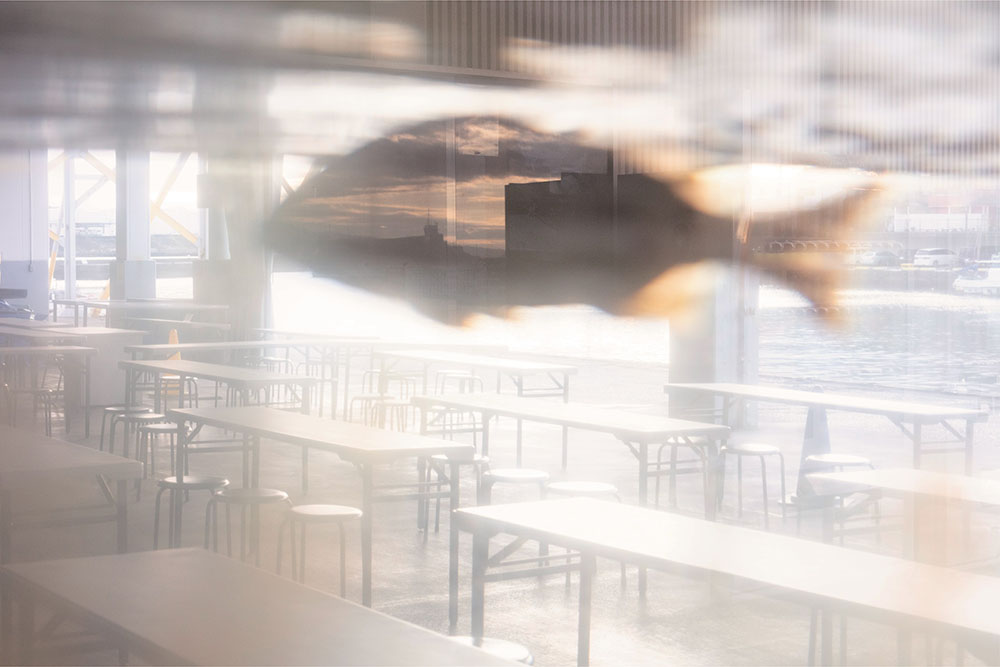 城戸保　駐車空間、富士景、光画 清須市はるひ美術館-4