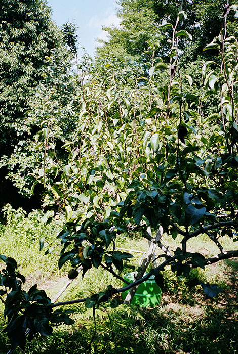 特別展 鷹野隆大 カスババ ―この日常を生きのびるために― 広島市現代美術館-4