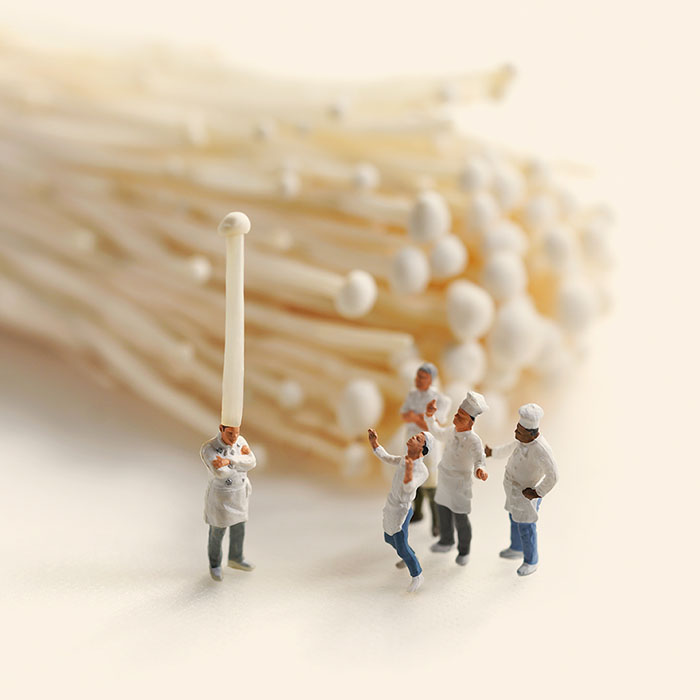 田中達也展　みたてのくみたて 愛媛県美術館-13