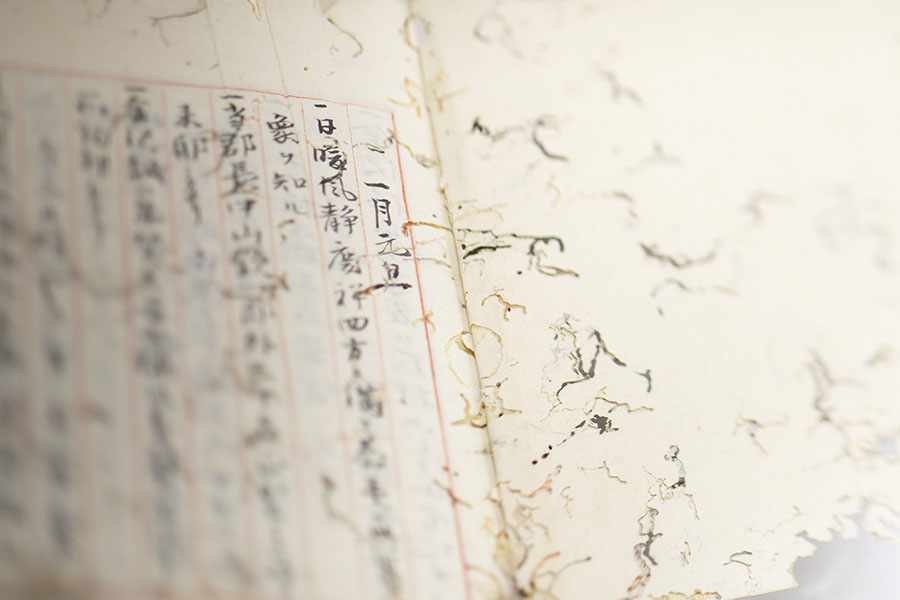 オランダ×千葉 撮る、物語るーサラ・ファン・ライ&ダヴィット・ファン・デル・レーウ×清水裕貴 千葉県立美術館-5