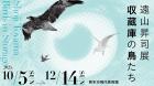 遠山昇司展 収蔵庫の鳥たち 熊本市現代美術館-1