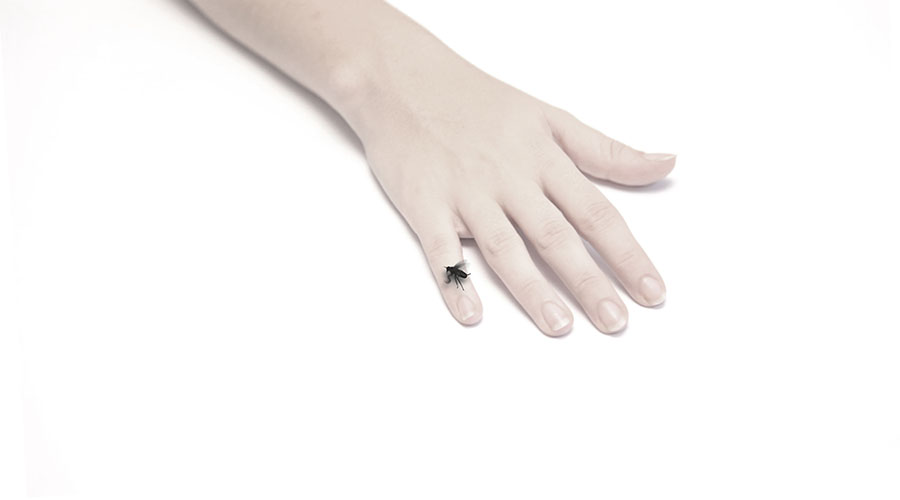 国際芸術祭「あいち2025」灰と薔薇のあいまに 愛知県美術館-18