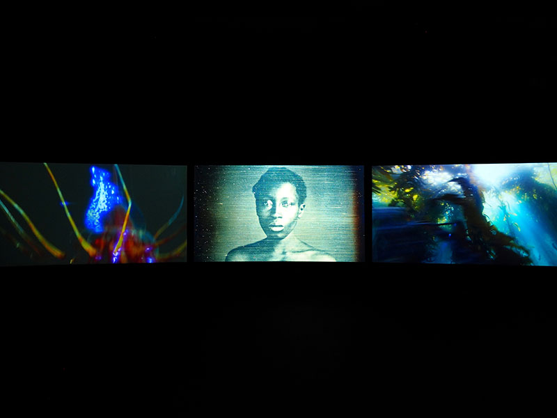 国際芸術祭「あいち2025」灰と薔薇のあいまに 愛知県美術館-30