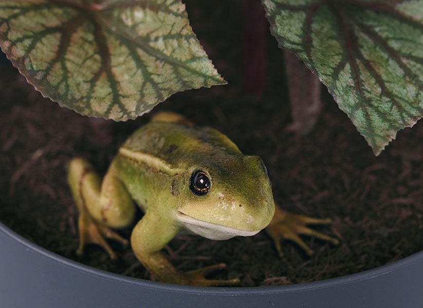 ライアン・ガンダー：ユー・コンプリート・ミー ポーラ美術館-2