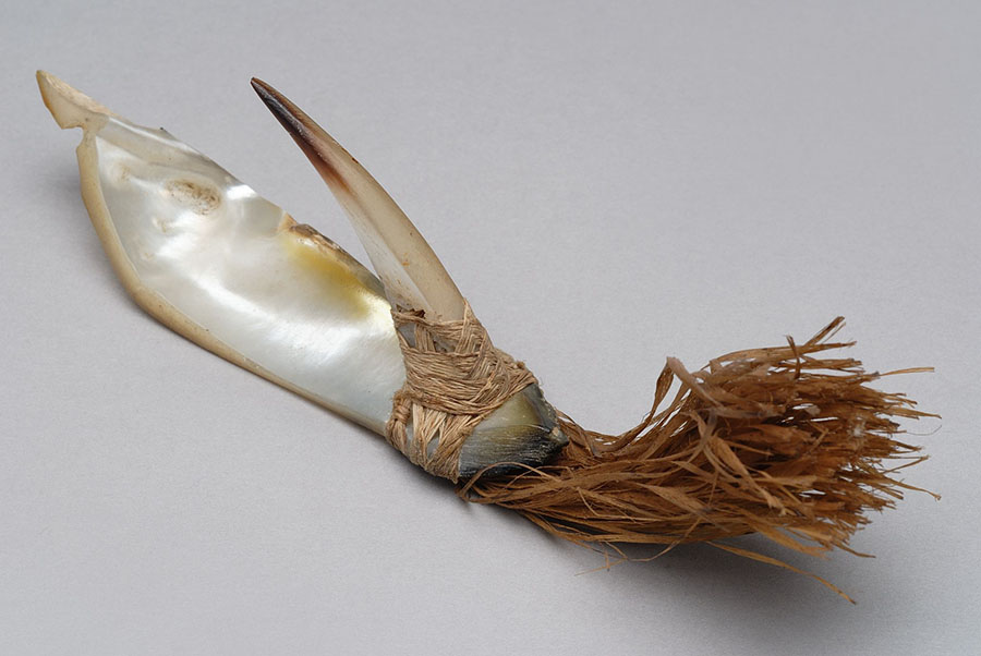 特別展「舟と人類―アジア・オセアニアの海の暮らし」 国立民族学博物館-11