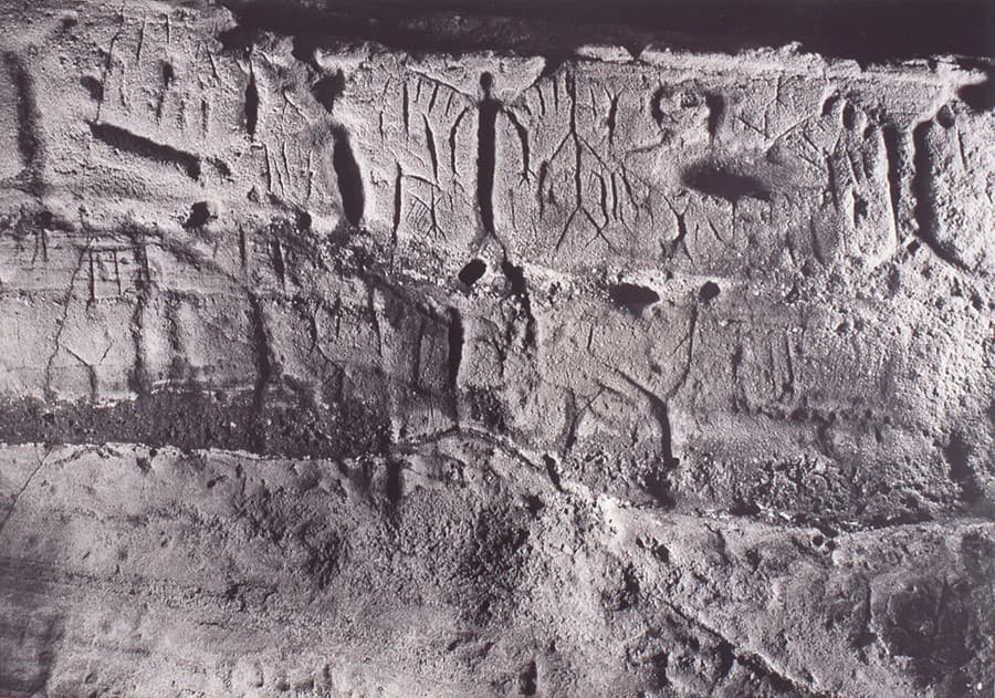 特別展　線が、息づく。　好太郎の線、鈴木ヒラクのドローイング mima 北海道立三岸好太郎美術館-6