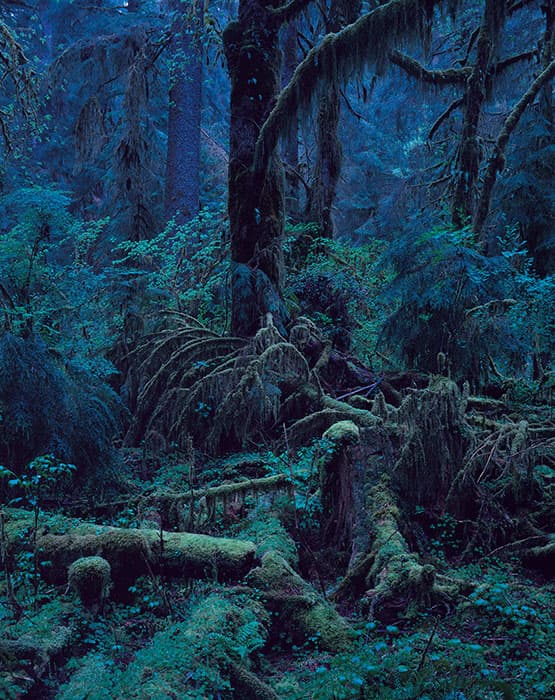 上田義彦　いつも世界は遠く、 神奈川県立近代美術館 葉山-4