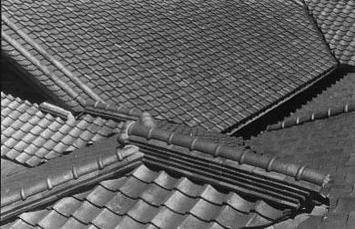 藤田嗣治　絵画と写真 名古屋市美術館-3