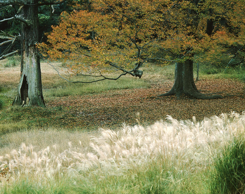 生誕120年　入江泰吉自選「奈良大和路春夏秋冬」 入江泰吉記念奈良市写真美術館-6
