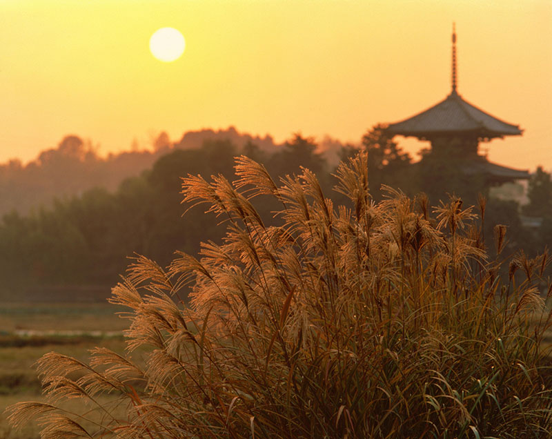 生誕120年　入江泰吉自選「奈良大和路春夏秋冬」 入江泰吉記念奈良市写真美術館-7