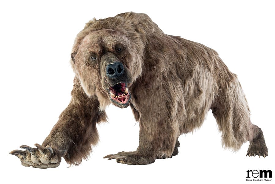 特別展「氷河期展 〜人類が見た4万年前の世界〜」 国立科学博物館-10