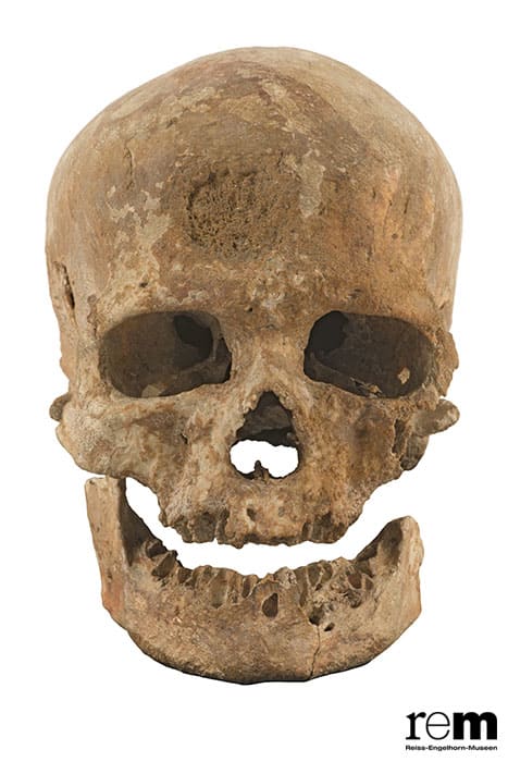 特別展「氷河期展 〜人類が見た4万年前の世界〜」 国立科学博物館-11