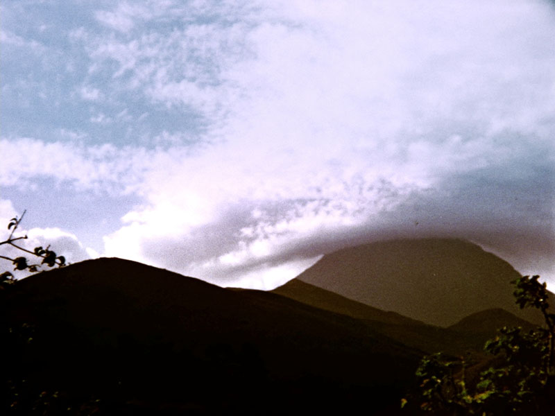 総合開館30周年記念　ペドロ・コスタ　インナーヴィジョンズ 東京都写真美術館-2