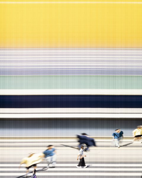 身体で感じる緑とアート展 練馬区立美術館-3