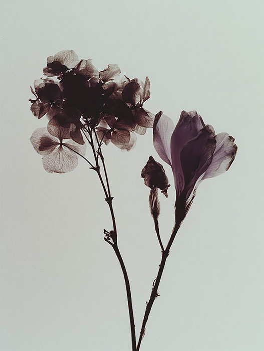 GⅢ-Vol.161酒井一吉　幽語の回路 熊本市現代美術館-3