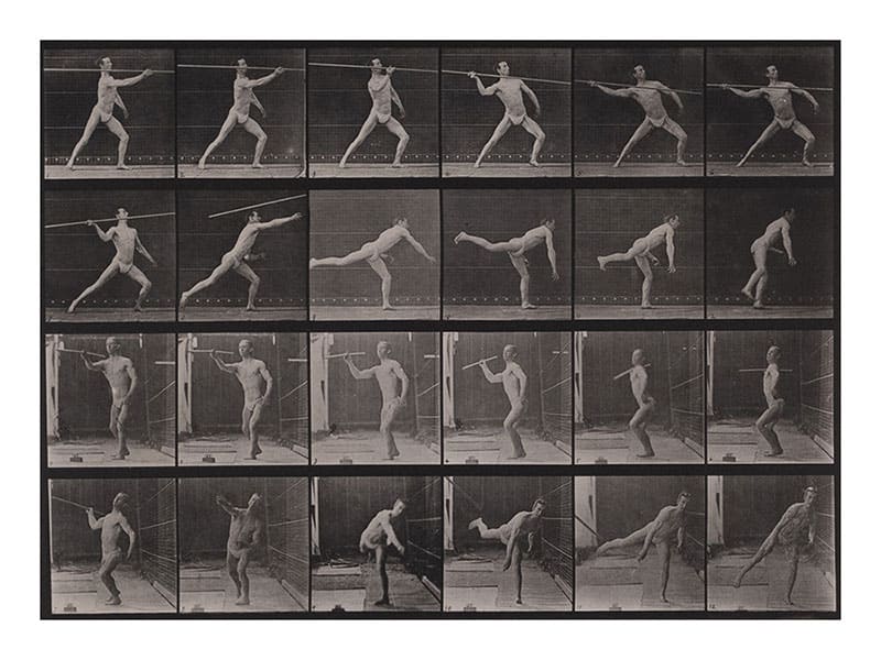 動画の原点『アニマル・ロコモーション』 「連続写真に取り憑かれた男 エドワード・マイブリッジ」 FUJIFILM SQUARE（フジフイルム スクエア）-5