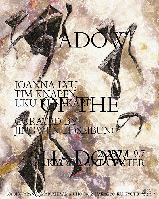 影の残影 / Shadow of the Shadow 京都芸術センター-5