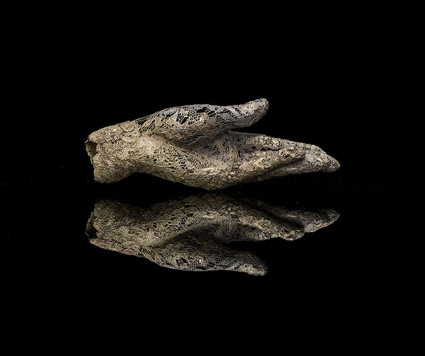 谷岡靖則 退任記念展 うしなわれしもの・とき、そして 東京藝術大学大学美術館-2