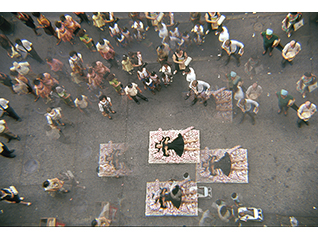 草間彌生　闘う女／絵を描く少女