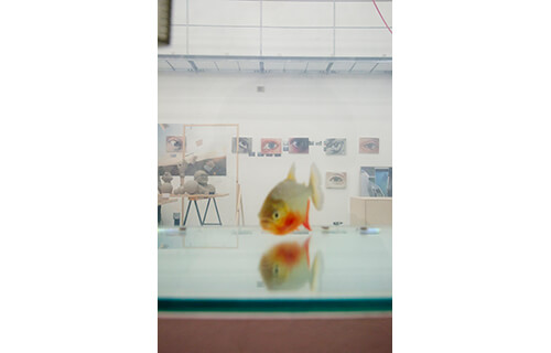 アペルト06 武田雄介 金沢21世紀美術館-2