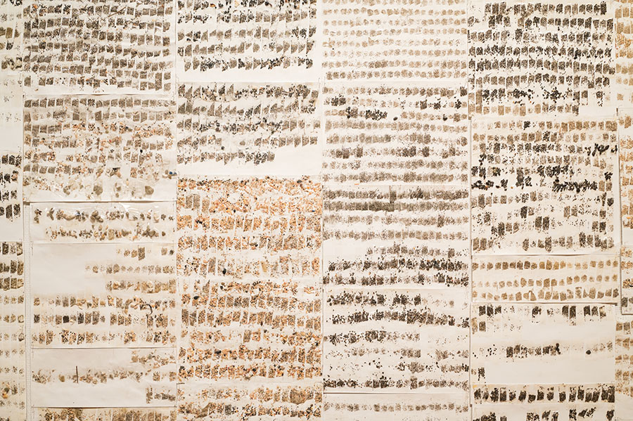 企画展「第29回岡本太郎現代芸術賞（TARO賞）」 川崎市岡本太郎美術館-3