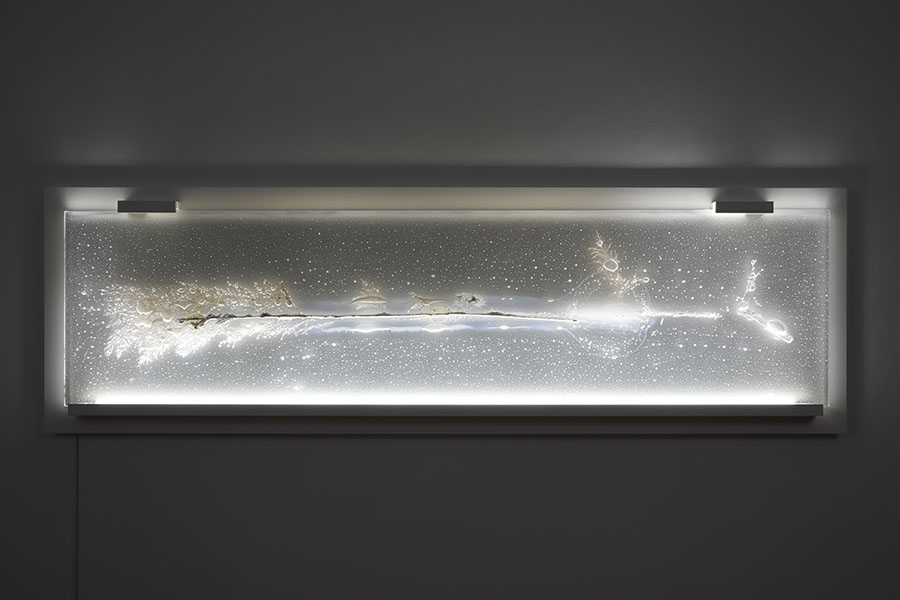 開館10周年記念 めぐりあう今を映す日本の現代ガラス 1975－2025 富山市ガラス美術館-5