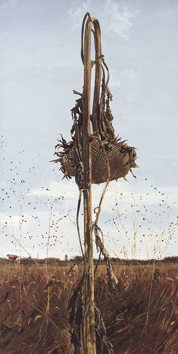 三栖右嗣 「今を生きる」 ヤオコー川越美術館-3