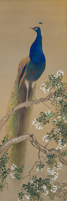 ライトアップ木島櫻谷III　― おうこくの色をさがしに　併設四季連作屏風 泉屋博古館東京-7