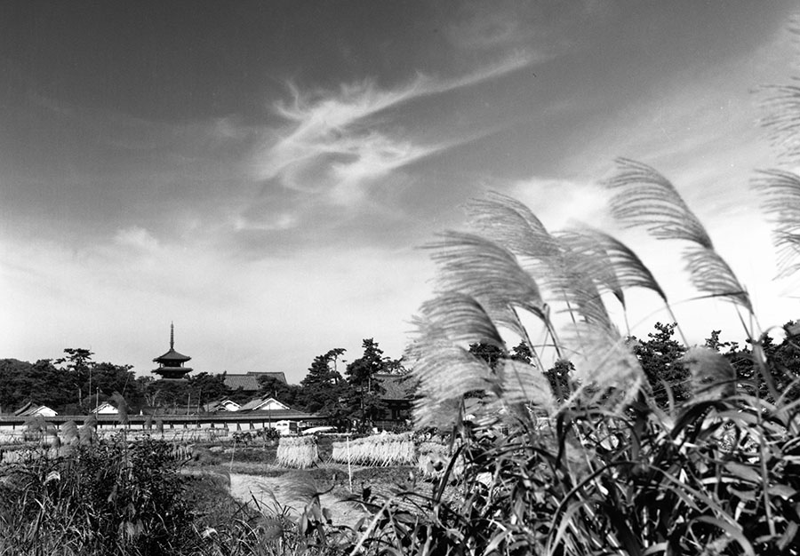 入江泰吉「大和路五十三景」 入江泰吉記念奈良市写真美術館-4