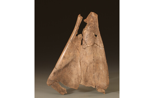 企画展「漢字三千年　－漢字の歴史と美－」 新潟県立近代美術館-2