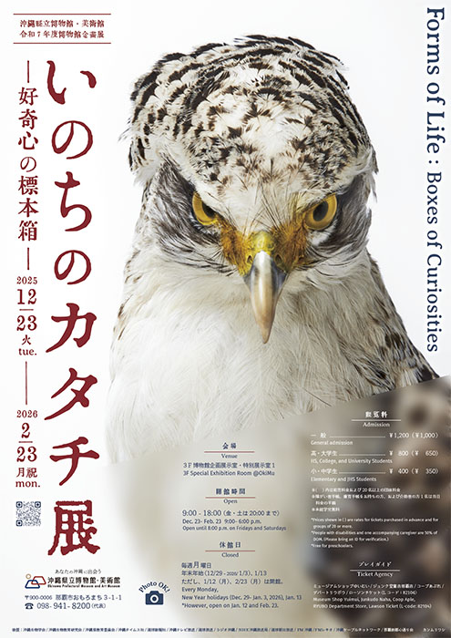 いのちのカタチ展―好奇心の標本箱― 沖縄県立博物館・美術館（おきみゅー）-13