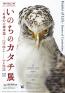 いのちのカタチ展―好奇心の標本箱― 沖縄県立博物館・美術館（おきみゅー）-1