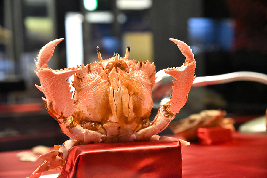 いのちのカタチ展―好奇心の標本箱― 沖縄県立博物館・美術館（おきみゅー）-8