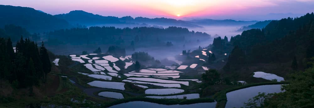 写真展 今森光彦 にっぽんの里山を旅する 美術館「えき」KYOTO-1