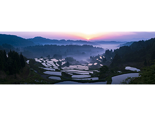 写真展 今森光彦 にっぽんの里山を旅する