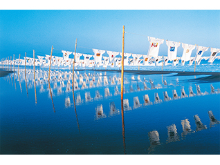 京都dddギャラリー第250回企画展 LOCAL LOCAL －ないものはない－　梅原真展