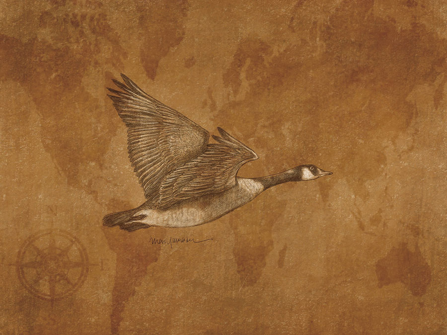 ヤマザキマリの世界 美術館「えき」KYOTO-14