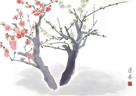 新春企画展　四季を彩る自然を描くー山口蓬春の植物図鑑― 山口蓬春記念館-5