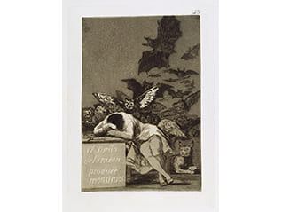 東京富士美術館コレクション フランシスコ・デ・ゴヤ 四大連作版画展