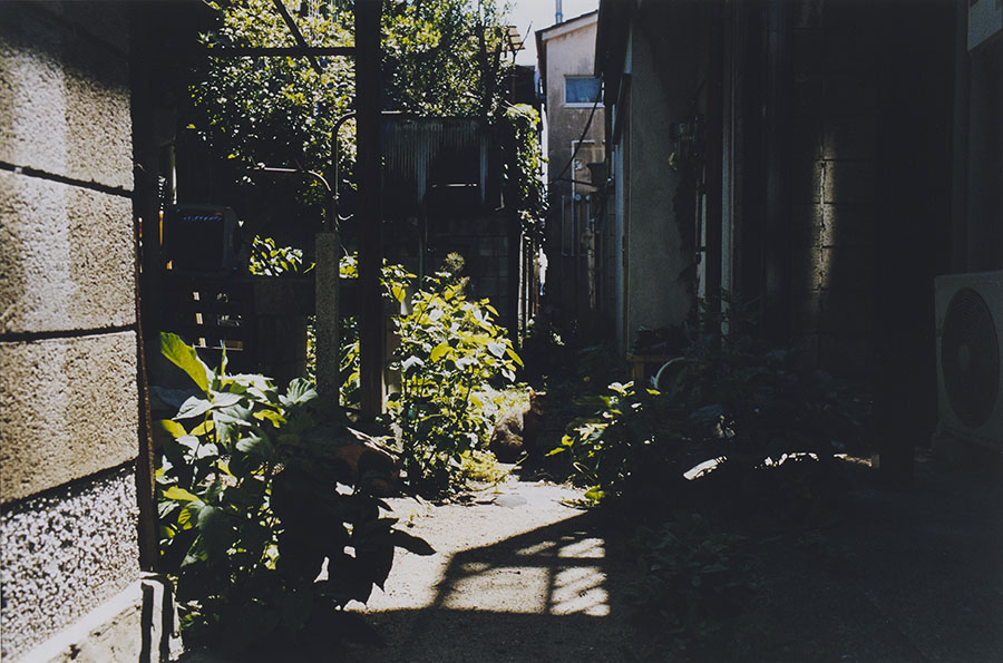 コレクションをめぐる3つの時間 太田市美術館・図書館-5