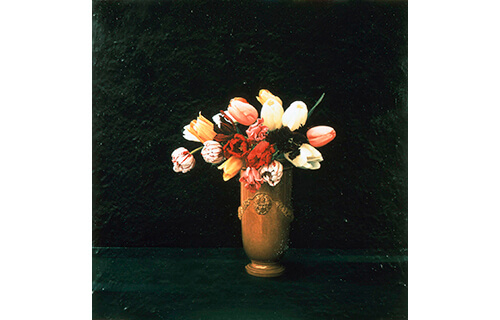 画家の眼がとらえた美 ホキ美術館-11