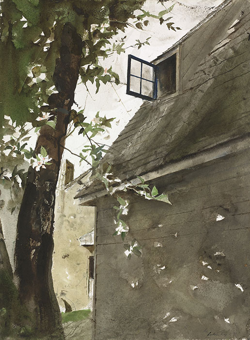 東京都美術館開館100周年記念  アンドリュー・ワイエス展 東京都美術館-9