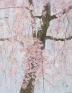 第13回 郷さくら美術館 桜花賞展 同時開催「桜百景vol.42」展 郷さくら美術館-1