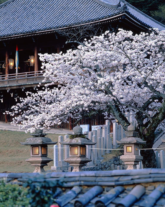 入江泰吉「大和路三十三景」 入江泰吉記念奈良市写真美術館-1